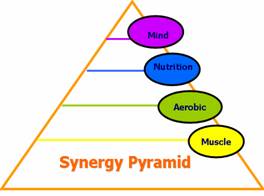 Synergy Pyramid